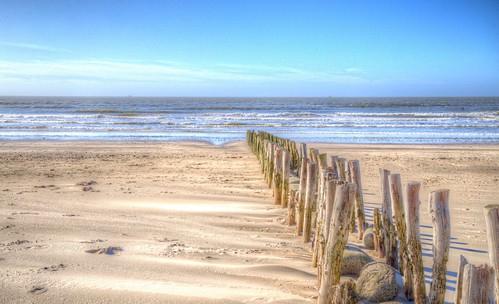 Sandee - Handheld Beach