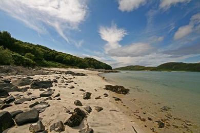 Sandee Silver Sands Beach
