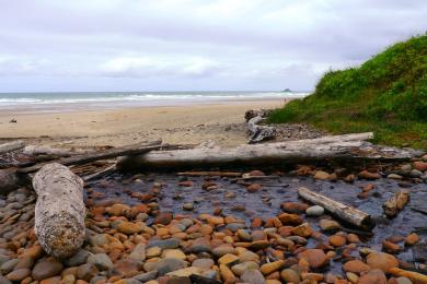 Sandee Beverly Beach Photo