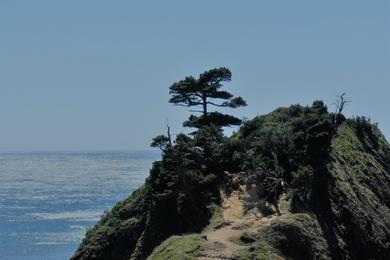 Sandee - Battle Rock State Park Beach