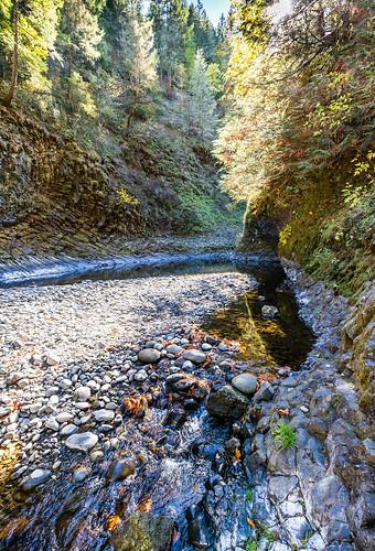 Sandee - Prairie Creek Swimming Area