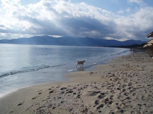 Sandee Schinias Beach