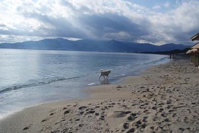 Sandee Schinias Beach