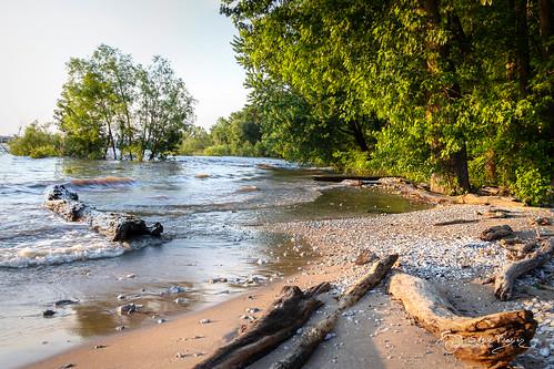 Sandee - May River Sandbar