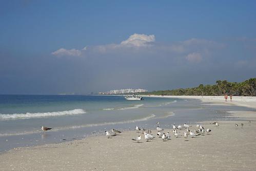 Sandee - Klima Beach