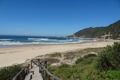 Sandee Swartvlei Beach