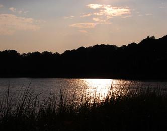 Sandee Otis Town Beach Photo