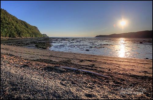 Sandee - St Lawrence Bay