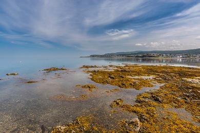 Sandee St Lawrence Bay Photo