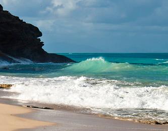 Sandee Hawksbill Beach Photo