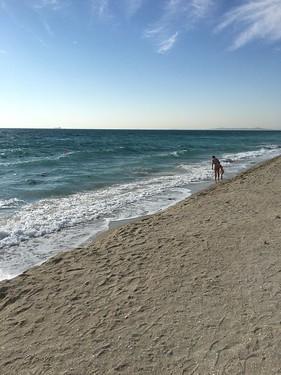 Sandee - Sir Bani Yas Beach