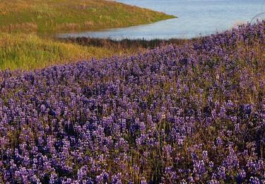 Sandee Smittle Creek Day Use Area Photo