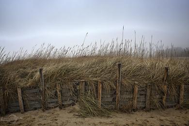 Sandee Sahlenburger Strand Photo