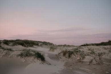 Sandee Dunen Schillig