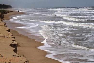 Sandee Cansaulim Beach