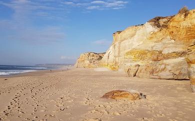 Sandee Open Beach