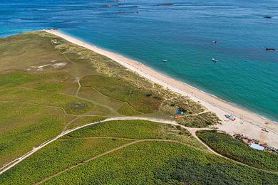 Sandee Shell Beach Photo