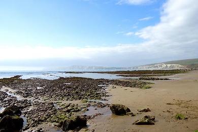 Sandee Stefa Beach