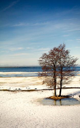 Sandee Kardla Beach Photo