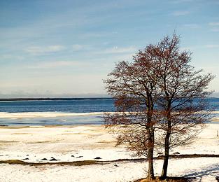 Sandee Kardla Beach