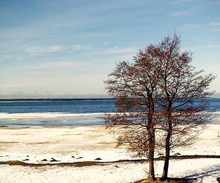 Sandee Kardla Beach Photo