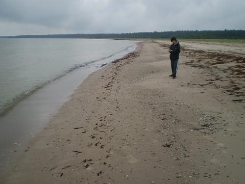 Sandee Luidja Beach Photo