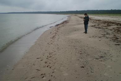 Sandee Luidja Beach Photo