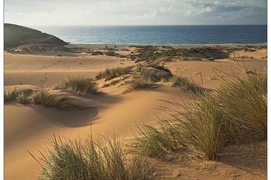 Sandee Sand Dunes Photo