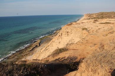 Sandee Sea Cliffs Nature Reserve Photo