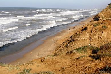 Sandee Tel Baruch Beach