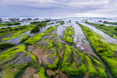 Sandee Barrika Photo