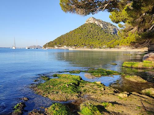 Sandee - Cala En Feliu