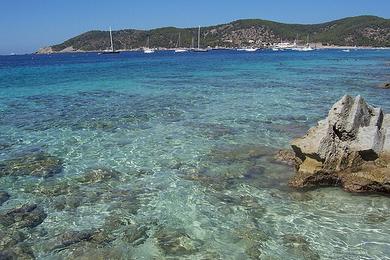 Sandee Ses Salines