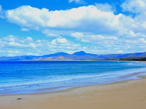 Sandee - Shelley Point Beach