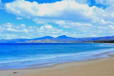 Sandee Shelley Point Beach Photo