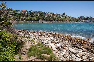 Sandee Shelly Point Tidal Pool Photo