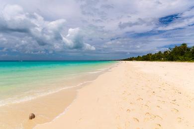 Sandee Link Beach