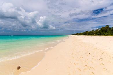 Sandee Link Beach Photo