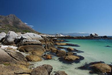 Sandee Miller's Point