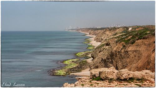 Sandee - HomePage / Tel Aviv