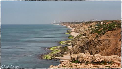 Sandee - North Cliff Beach