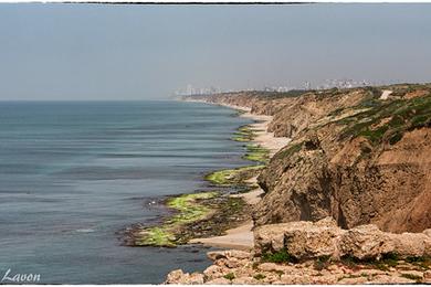 Sandee North Cliff Beach Photo