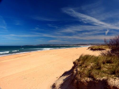 Sandee - Armoni Beach