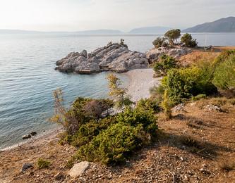 Sandee Wild Beach In An Olive Grove Photo