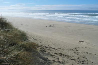 Sandee Dune Beach
