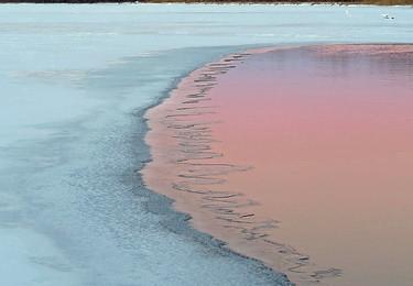 Sandee Rose Beach Photo