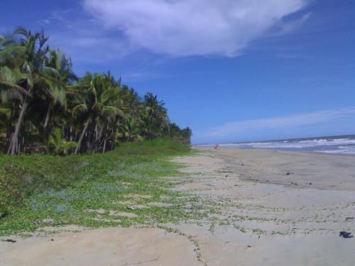 Sandee - Pazhayangadi Beach 1