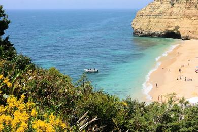 Sandee Grotto Bay Beach Photo