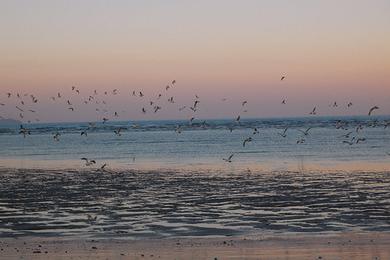 Sandee University Beach