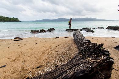 Sandee Chidiya Tapu Beach Photo